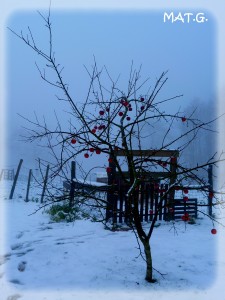 arbre-hiver