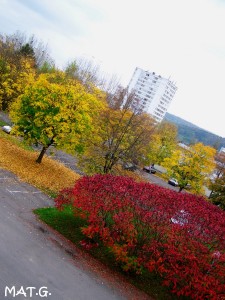 automne-internat