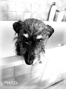 chipie-bain