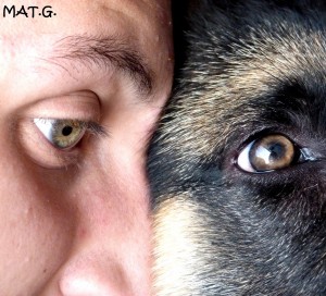 oeil-jerem+grizzly
