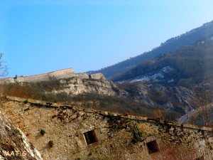 ptit coin citadelle