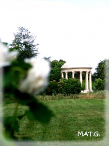 temple-appolon