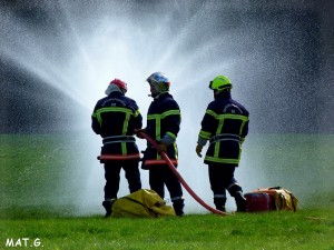 Feu de Forêt